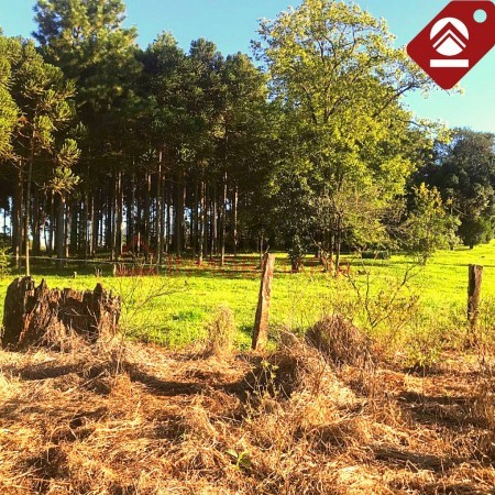 Terreno de 1 hectáreas