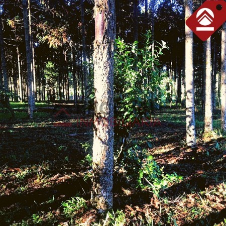 Terreno de 1 hectáreas