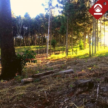 Terreno de 1 hectáreas