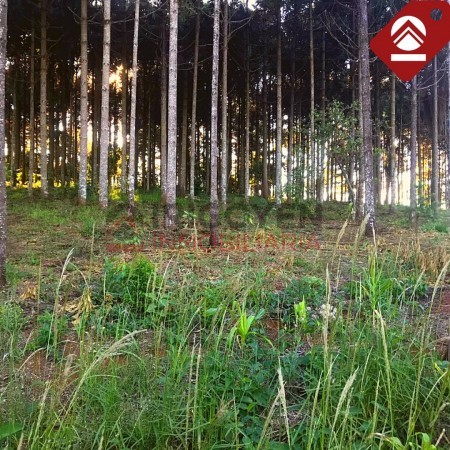 Terreno de 1 hectáreas