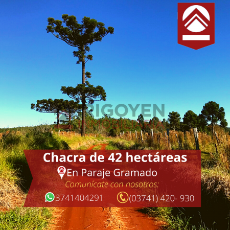 Chacra de 42 hectareas 