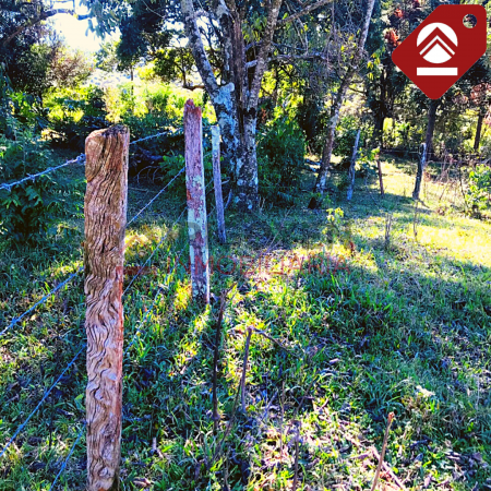 Chacra de 42 hectareas 