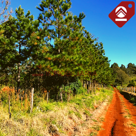 Chacra de 42 hectareas 