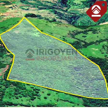 Chacra de 42 hectareas 