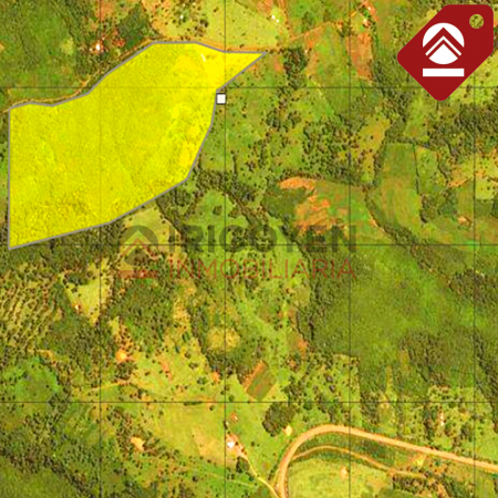 Chacra de 42 hectareas 