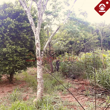 Chacra de 10x18 hectáreas