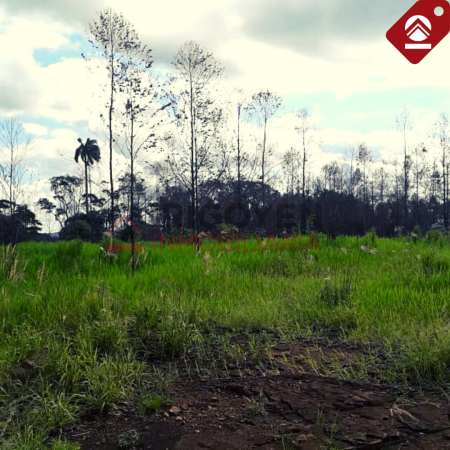 Chacra de 10x18 hectáreas