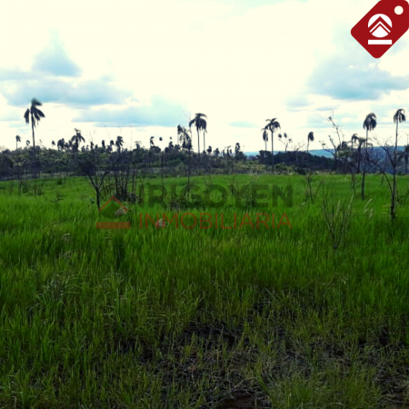 Chacra de 10x18 hectáreas