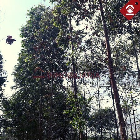 Chacra de 10x18 hectáreas