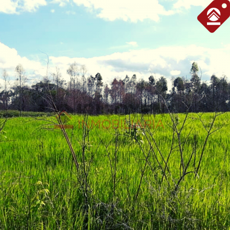 Chacra de 10x18 hectáreas