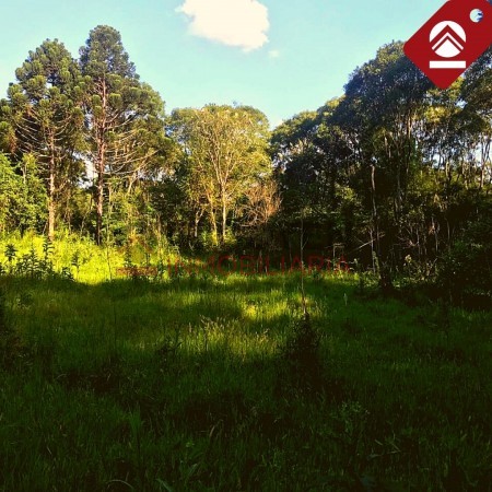 Chacra 247 hectáreas