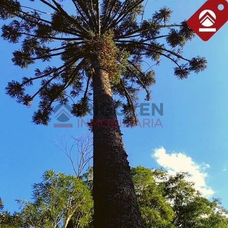 Chacra 247 hectáreas