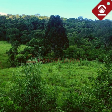 Chacra 247 hectáreas