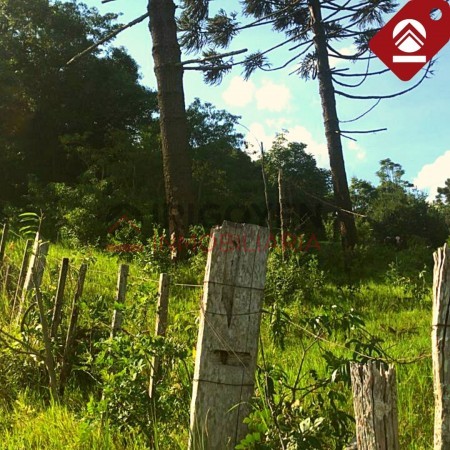 Chacra 247 hectáreas