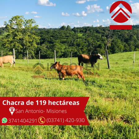 Chacra de 119 hectáreas