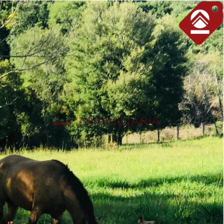 Chacra de 119 hectáreas