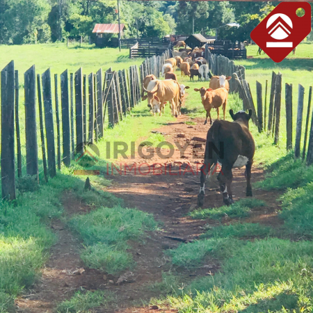 Chacra de 119 hectáreas