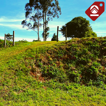 Se vende terreno de 2,5 hectáreas