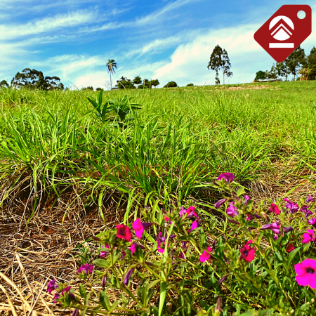 Se vende terreno de 2,5 hectáreas