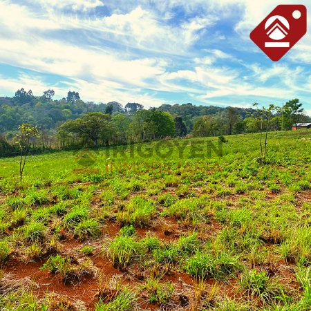 Se vende terreno de 2,5 hectáreas