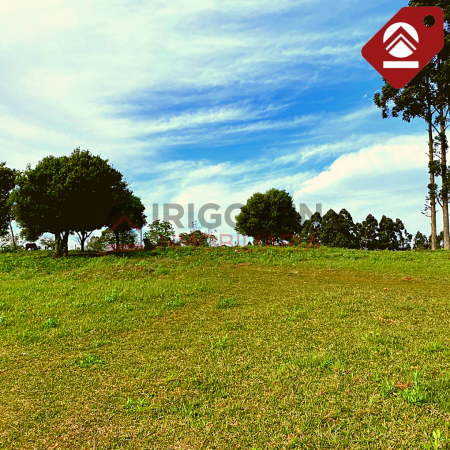 Se vende terreno de 2,5 hectáreas