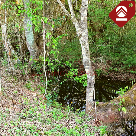 Chacra de 111 hectáreas 