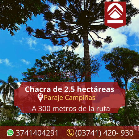 Chacra de 2.5 hectáreas