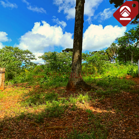 Chacra de 2.5 hectáreas