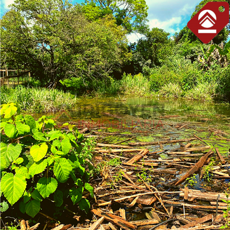 Chacra de 2.5 hectáreas