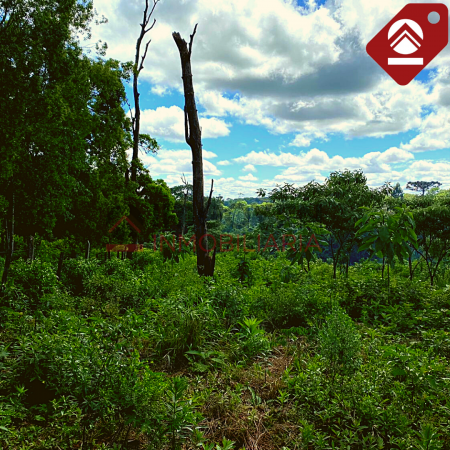 Chacra de 2.5 hectáreas