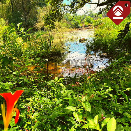 Chacra de 2.5 hectáreas