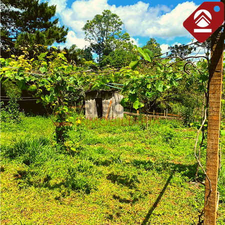 Chacra de 2.5 hectáreas