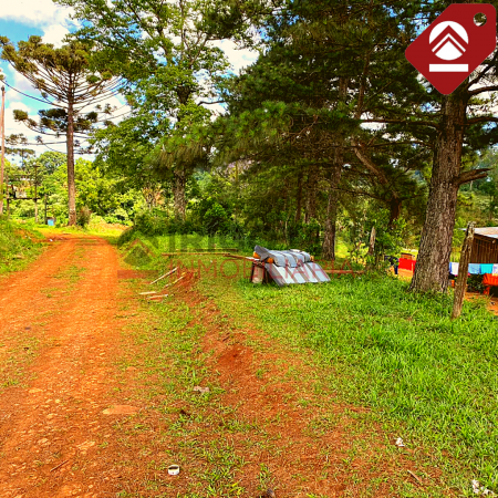 Chacra de 2.5 hectáreas