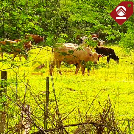 Se vende chacra de 378