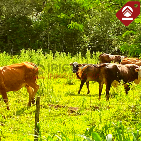 Se vende chacra de 378