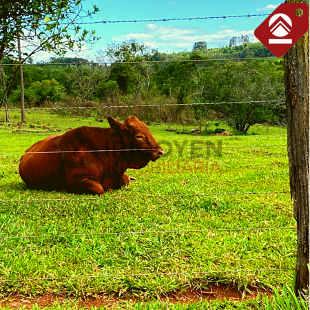 Se vende chacra de 378