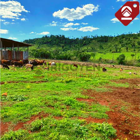 Se vende chacra de 378