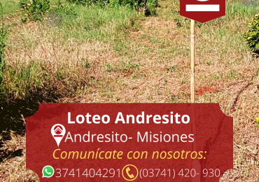 Loteo Andresito