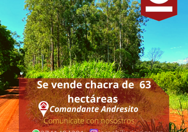 Chacra de 63 hectáreas 