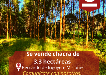 Chacra de 3.3 hectáreas 