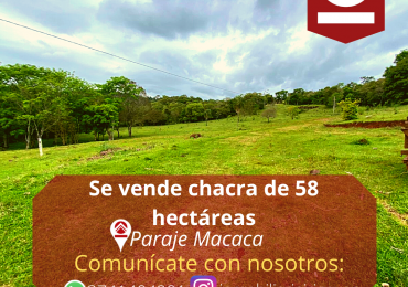 Chacra de 58 hectáreas 