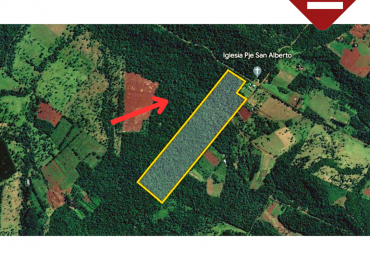 Se vende chacra de 30 hectáreas 