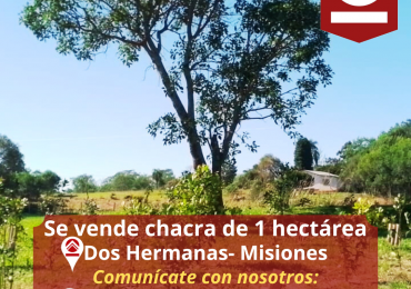 Se vende chacra de 1 hectárea 