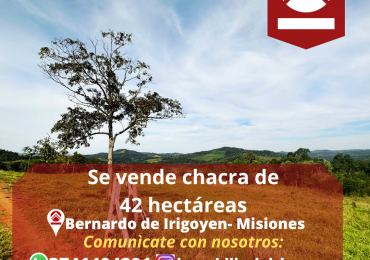 Se vende chacra de 42 hectáreas 
