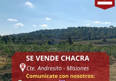 SE VENDE CHACRA