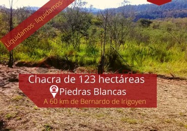 Chacra de 123 hectáreas