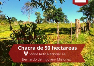 Chacra de 50 hectareas