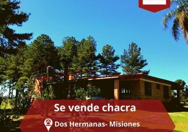 Chacra de 111 hectáreas 