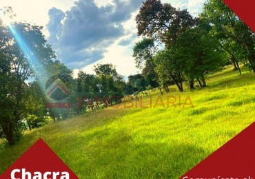 Chacra de 15 hectáreas