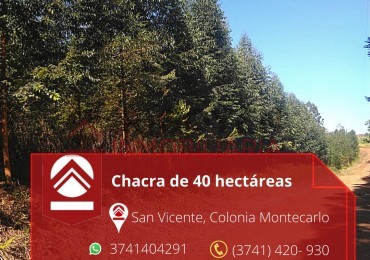 Chacra de 40 hectáreas